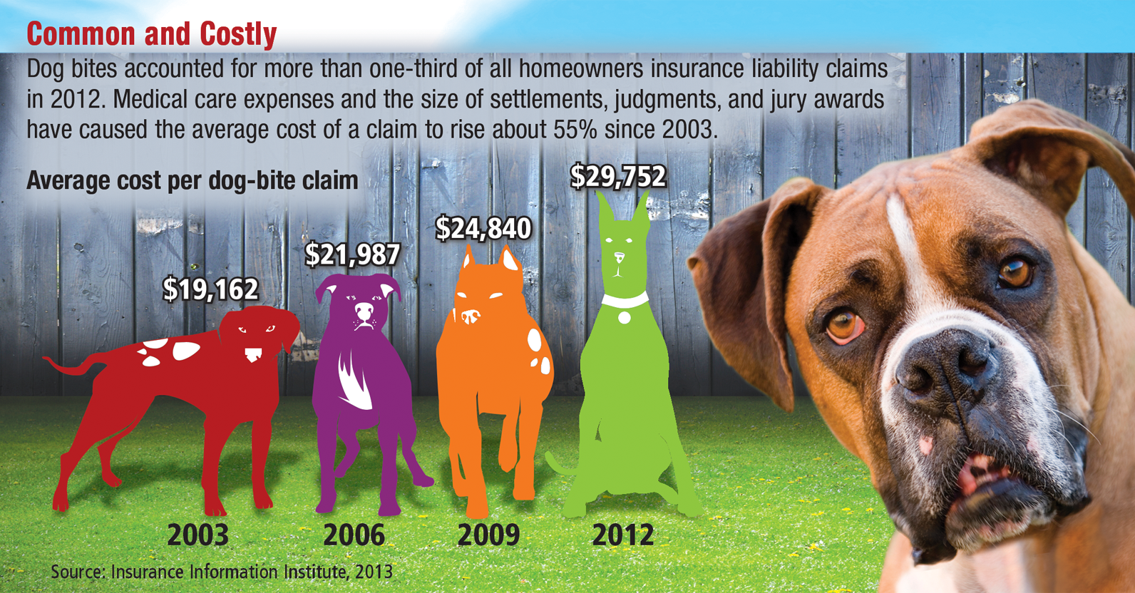Homeowners Insurance Dog Bite Off Property Homeowners Insurance Dog Bite Off Property