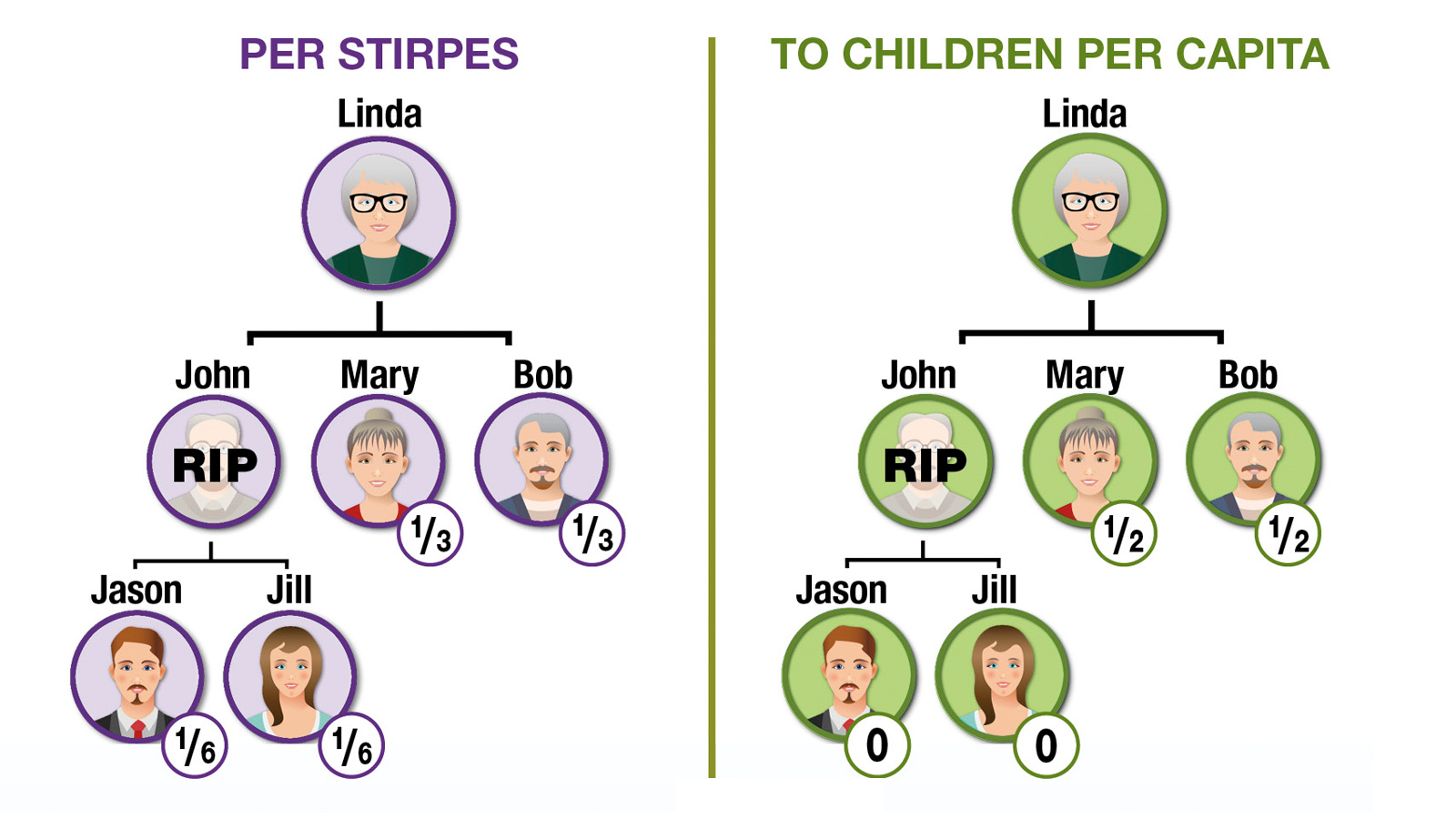 Per Stirpes Chart