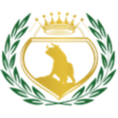 Kingsman Financial Solutions LLC. logo SOUTHFIELD, MICHIGAN