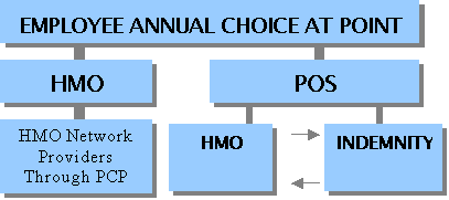 HMO POS
Flow Chart