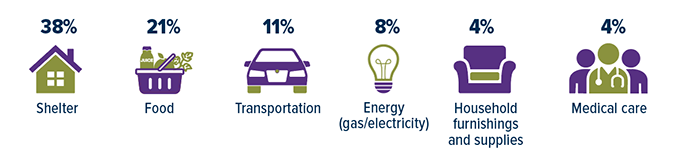 Contribution to the 12-monthm 6.5% increase in consumer prices as of December 2022: Shelter: 38%, food 21%, transportation 11%, Energy (gas and electricity) 8%, household furnishings and supplies 4%, medical care 4%.