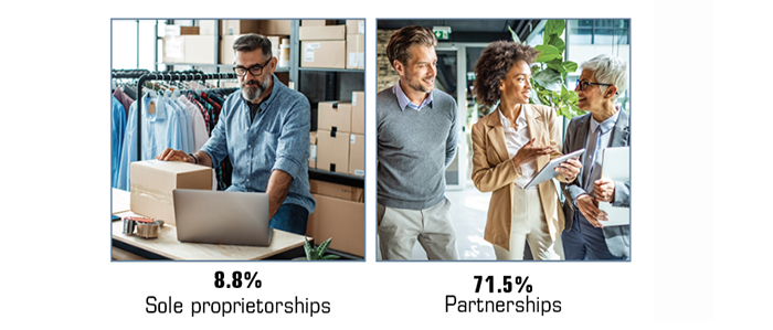 8.8% of sole proprietorships and 71.5% of partnerships indicated LLC status on their tax returns.