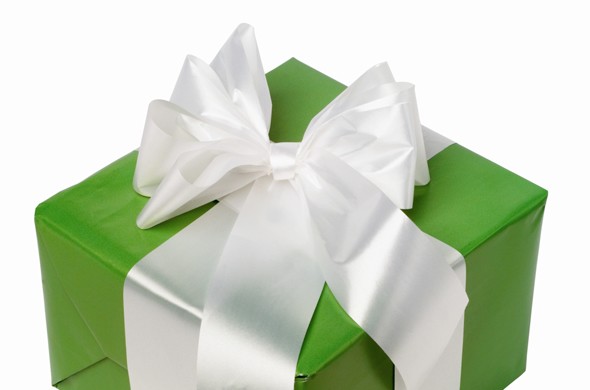Article: What Is the Gift Tax? : What Is the Gift Tax?
